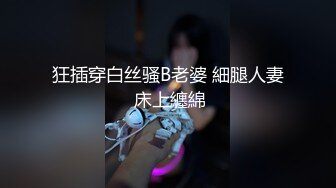 探探少妇