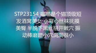 沈樵全集 10v 裸戏替身演员 沈樵 &#8211; 5.十八线女演员上位记