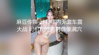 麻豆传媒-计程车内无套车震大战 司机粉丝内射偶像满穴