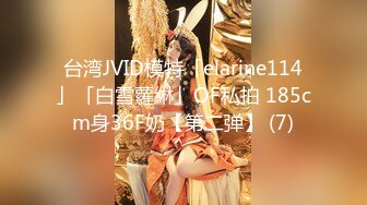 台湾JVID模特「elarine114」「白雪蘿綝」OF私拍 185cm身36F奶【第二弹】 (7)