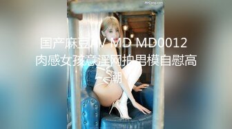 国产麻豆AV MD MD0012 肉感女孩意淫网拍男模自慰高潮