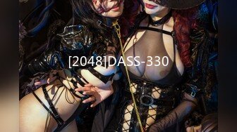 [2048]DASS-330