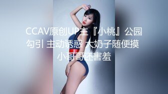 豪放巨乳-衣裳湿半- 职场女强人