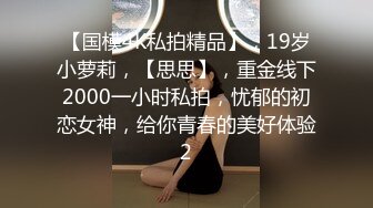 SEXY MISSION 淫行捜査官 河合纱里