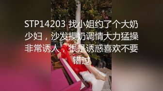 第一次交女友的我和青梅竹马练习干中出