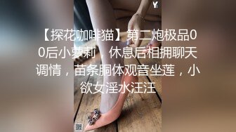 裸戏替身演员 沈樵 铁牛私房课 03 丝足诱惑