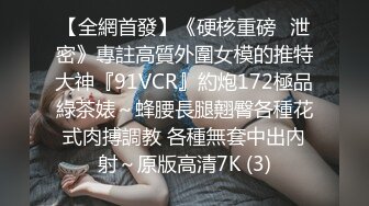 【全網首發】《硬核重磅☀泄密》專註高質外圍女模的推特大神『91VCR』約炮172極品綠茶婊～蜂腰長腿翹臀各種花式肉搏調教 各種無套中出內射～原版高清7K (3)