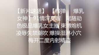 秦先生第四部-开车被口到受不了,餐厅厕所直接开操