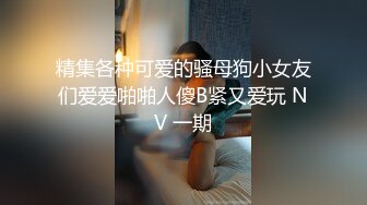 精集各种可爱的骚母狗小女友们爱爱啪啪人傻B紧又爱玩 NV 一期