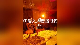 YP后入人妻骚母狗