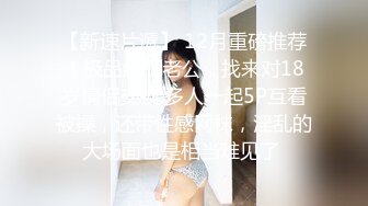 郑州西亚斯小母狗