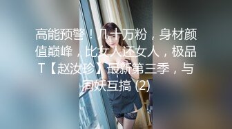 蜜桃传媒PM-028 厉害下班后的制服空姐主动勾引乘客