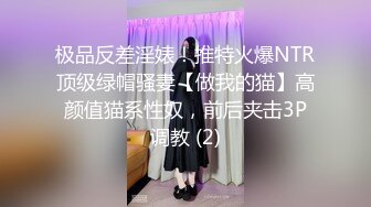 推特极品长腿苗条烧婊子【橙子】私拍，丝袜塞逼肛塞夹着假阳具公共场合露出边走边紫薇，骚话连天