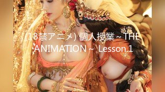 (18禁アニメ) 個人授業～THE ANIMATION～ Lesson.1