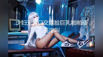 少妇无套口交露脸巨乳啪啪骚逼淫叫