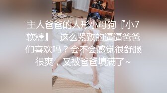 后入微熟骚逼少妇(听声可射)