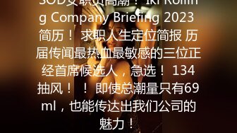 SOD女职员高潮！ Iki Rolling Company Briefing 2023 简历！ 求职人生定位简报 历届传闻最热血最敏感的三位正经首席候选人，急选！ 134抽风！ ！ 即使总潮量只有69ml，也能传达出我们公司的魅力！