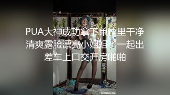 女友打桩机