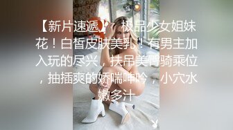 渔网情趣装 D罩杯粉乳 风骚小姐姐遇上打桩机 激情碰撞 骚叫震天响