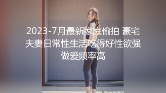 2023-7月最新家庭偷拍 豪宅夫妻日常性生活吃得好性欲强做爱频率高