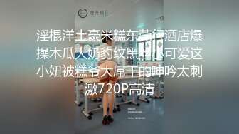 赵总探花系列-迷人的美少妇