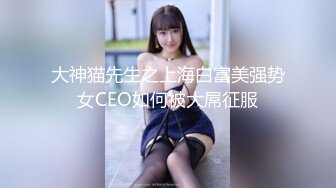 大神猫先生之上海白富美强势女CEO如何被大屌征服