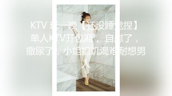 KTV 玩一晚【还没睡觉捏】单人KTV开包厢， 自慰了，撒尿了，小姐姐饥渴难耐想男人