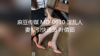 麻豆传媒 MD-0010 淫乱人妻勾引快递员 叶倩茹