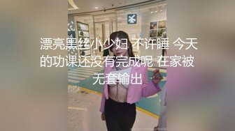 高端泄密流出极品眼镜反差婊大学生美女陈丽梅被金主爸爸调教骚母狗