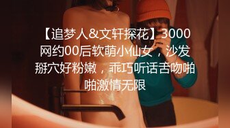 【追梦人&文轩探花】3000网约00后软萌小仙女，沙发掰穴好粉嫩，乖巧听话舌吻啪啪激情无限