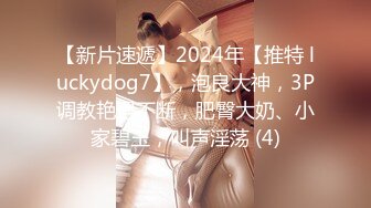 【新片速遞】2024年【推特 luckydog7】，泡良大神，3P调教艳遇不断，肥臀大奶、小家碧玉，叫声淫荡 (4)