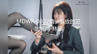 MDWP-0022情欲解放的卫生隔间-林襄