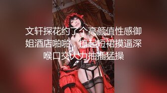 文轩探花约了个高颜值性感御姐酒店啪啪，撩起短裙摸逼深喉口交大力抽插猛操