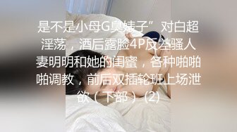 素人3P大神，【sison530】，真实3P健身教练和职业女HR自拍，三人均为首次见面，女女互玩，撸点拉满