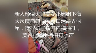 新人颜值大奶美女小姐姐下海大尺度自慰，展示口活舔弄假屌，揉捏奶子拨开内裤抽插，美臀肥逼手指拍打水声