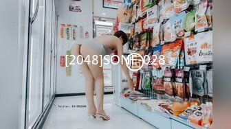 [2048]SONE-028