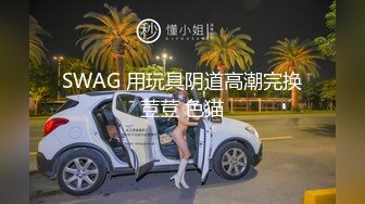 SWAG 用玩具阴道高潮完换荳荳 色猫