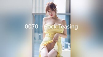 0070 - Cock Teasing