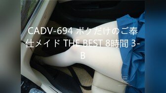 CADV-694 ボクだけのご奉仕メイド THE BEST 8時間 3-B