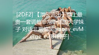 STP28603 星空传媒最新出品母狗or女王 - 幻想温柔乡反差老婆两级反转