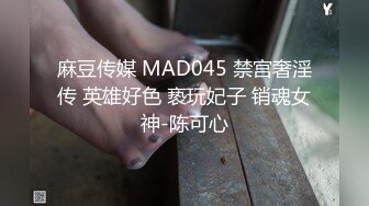 麻豆传媒 MAD045 禁宫奢淫传 英雄好色 亵玩妃子 销魂女神-陈可心